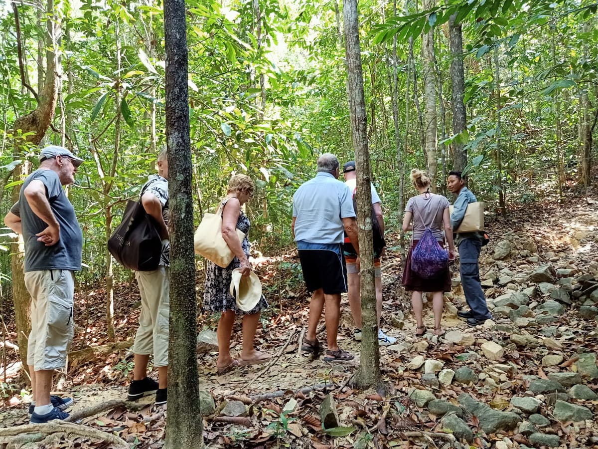 Langkawi Rainforest Trekking