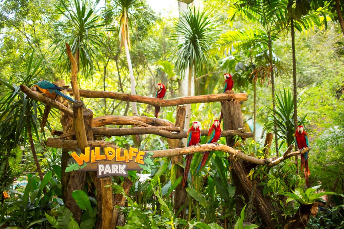 Sunway Lagoon Theme Park Ticket