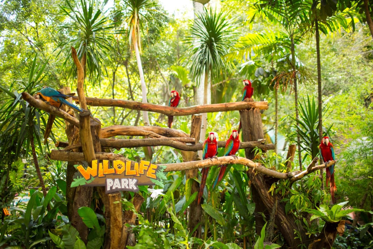 Sunway Lagoon Theme Park Ticket