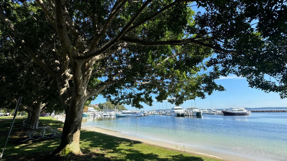 Port Stephens Tour with 4WD Ride and Sandboarding from Sydney