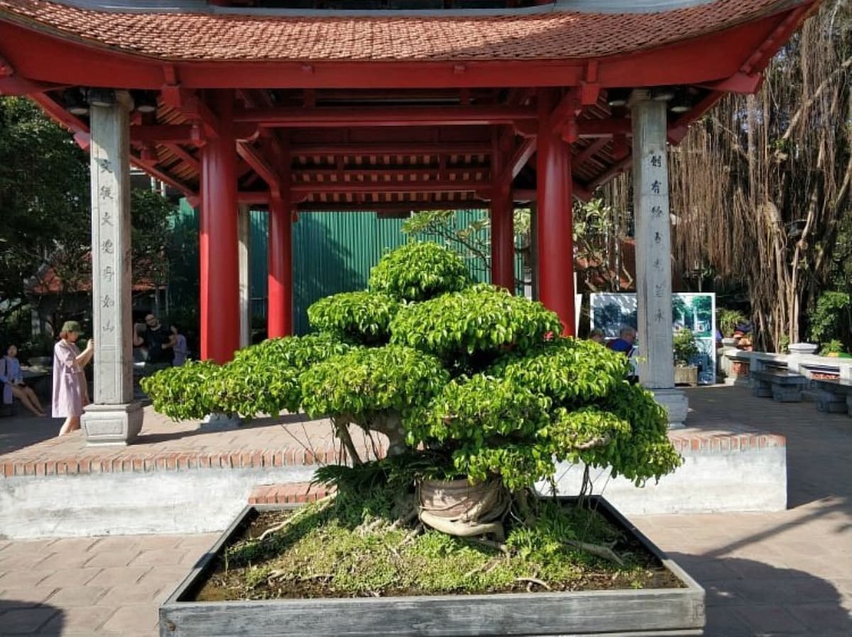 Hanoi Old Quarter Cyclo Tour with Egg Coffee Experience