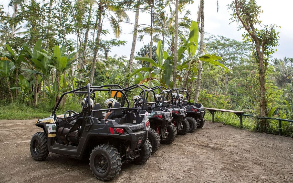 Bali's Thrilling Jungle Buggy Adventure by Mason Adventures