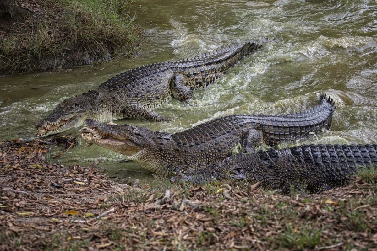 Paya Indah Discovery Wetlands Experience at Gamuda Cove