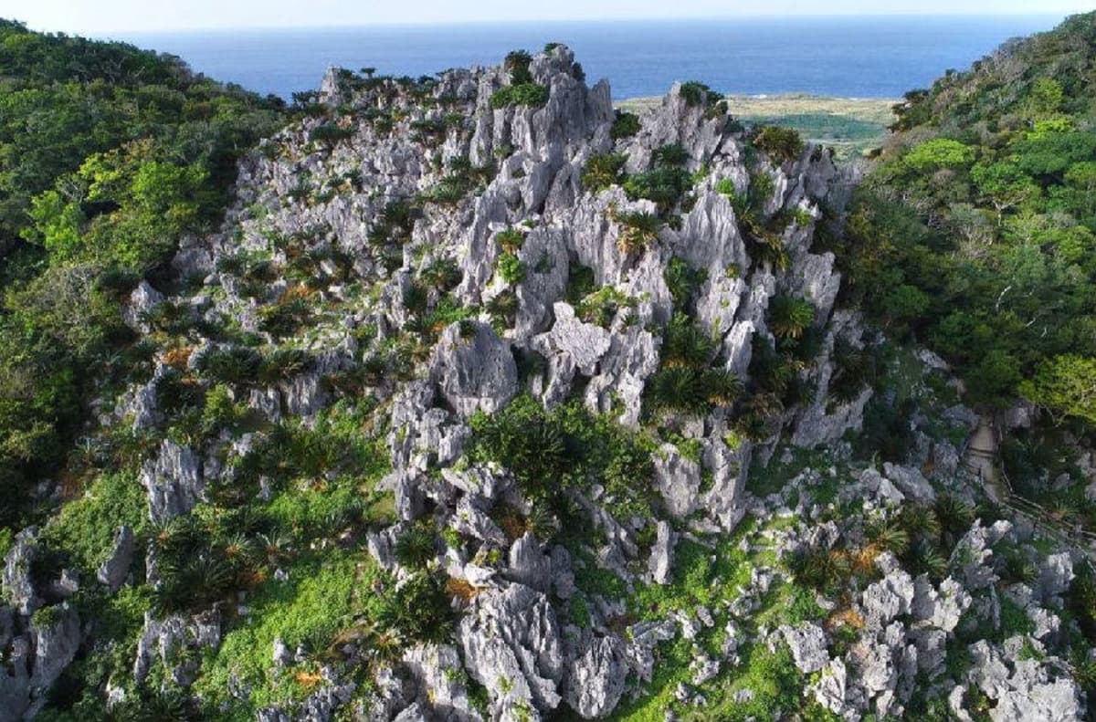 Okinawa Churaumi TokuToku 5 Pass