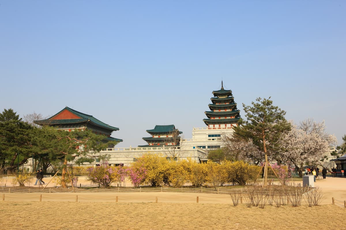 Gyeongbokgung Palace and Seoul City Tour