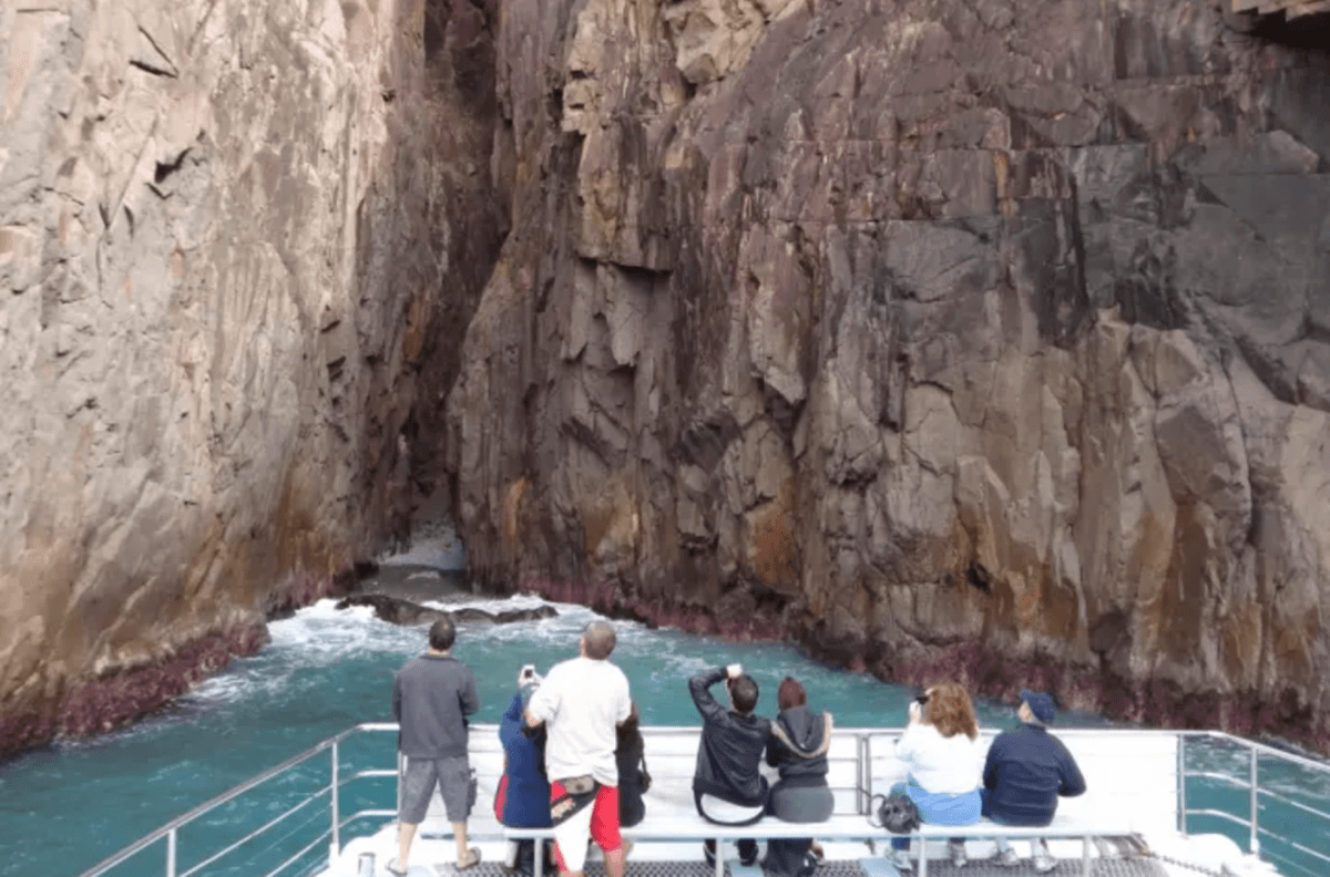 Port Stephens Dolphin Watch and Eco Adventure Cruise