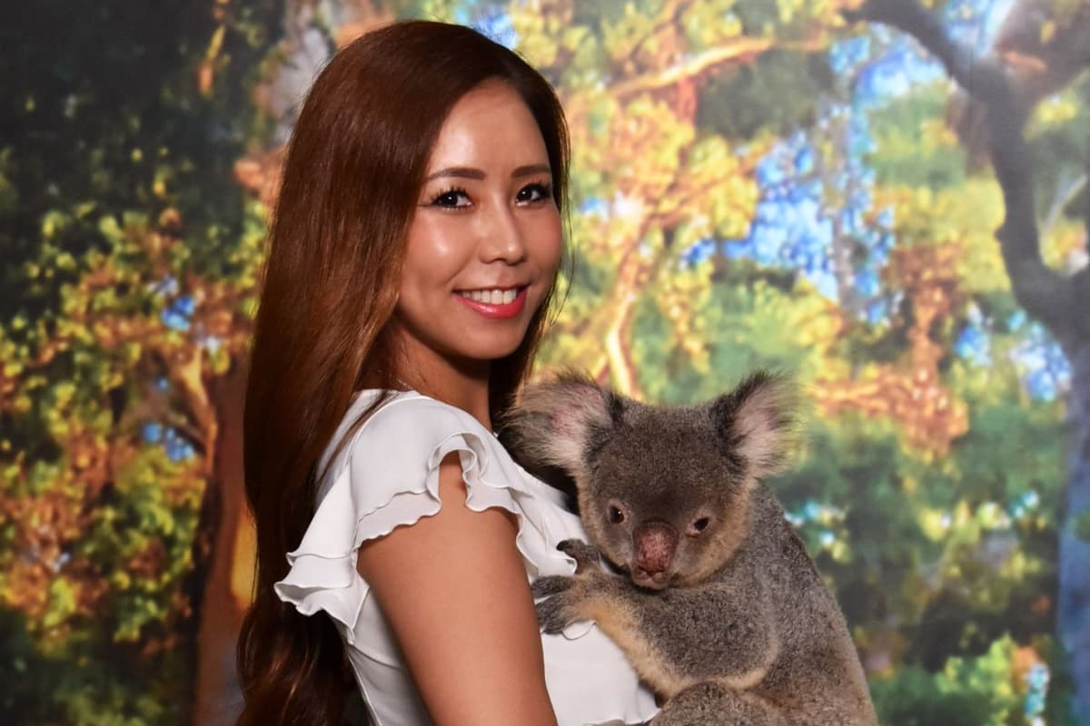 Cairns Koalas and Creatures at the Pier Ticket