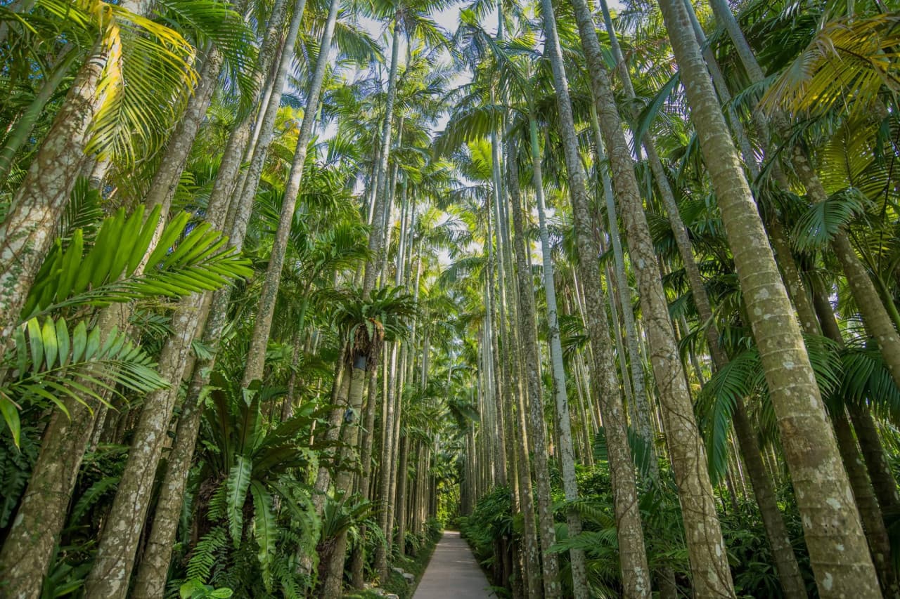 Okinawa Southeast Botanical Gardens