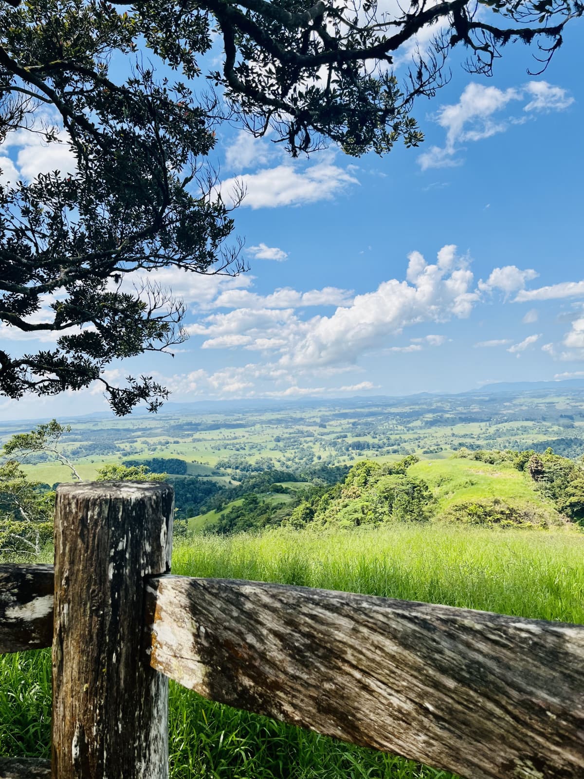 Australian Outback Food and Wine Tasting Tour from Port Douglas