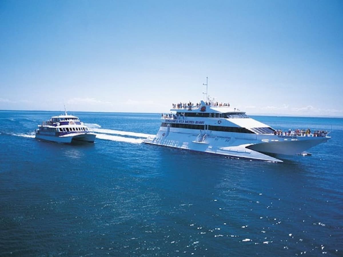 Tangalooma Island Tour with Dolphin Viewing