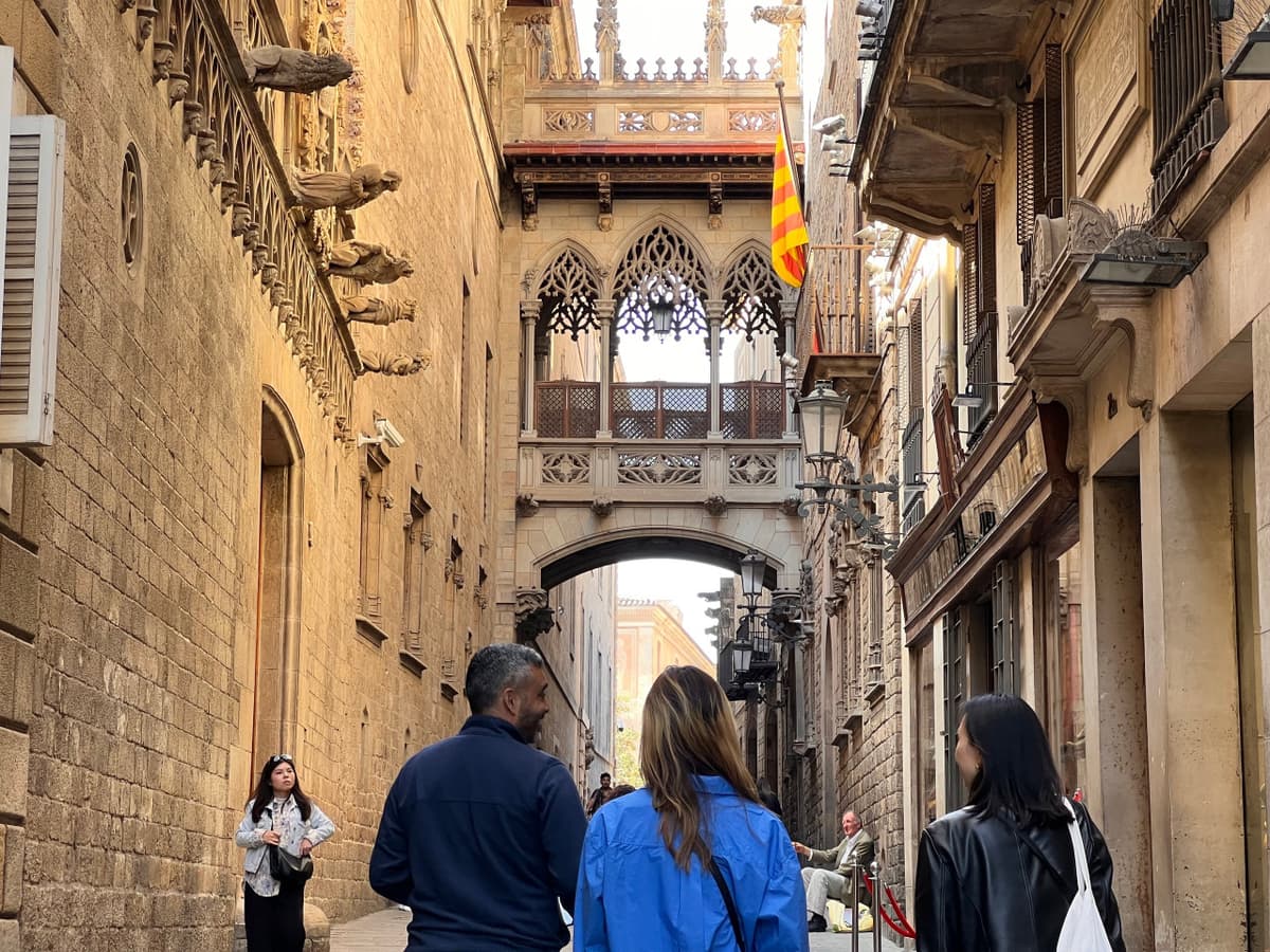 Barcelona Gothic Quarter Guided Tour in English, Mandarin, Korean