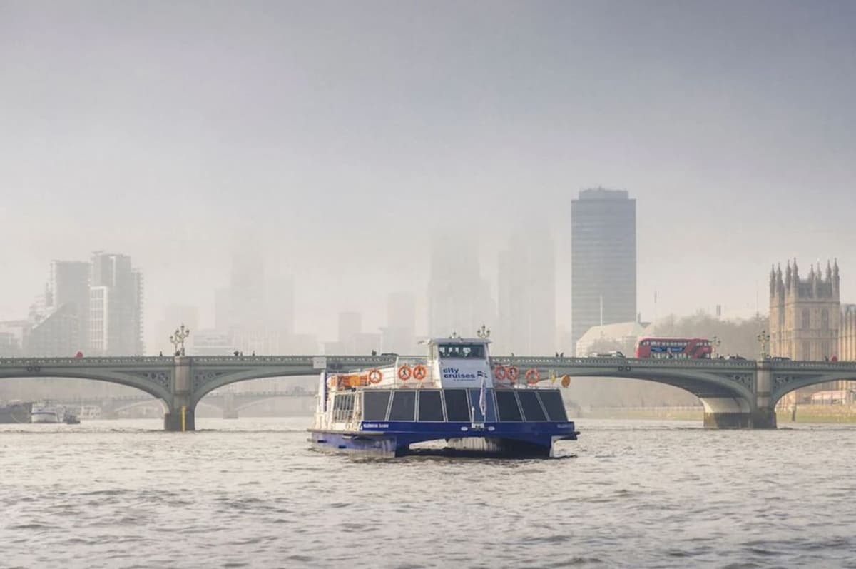 Afternoon Tea Cruise on the River Thames