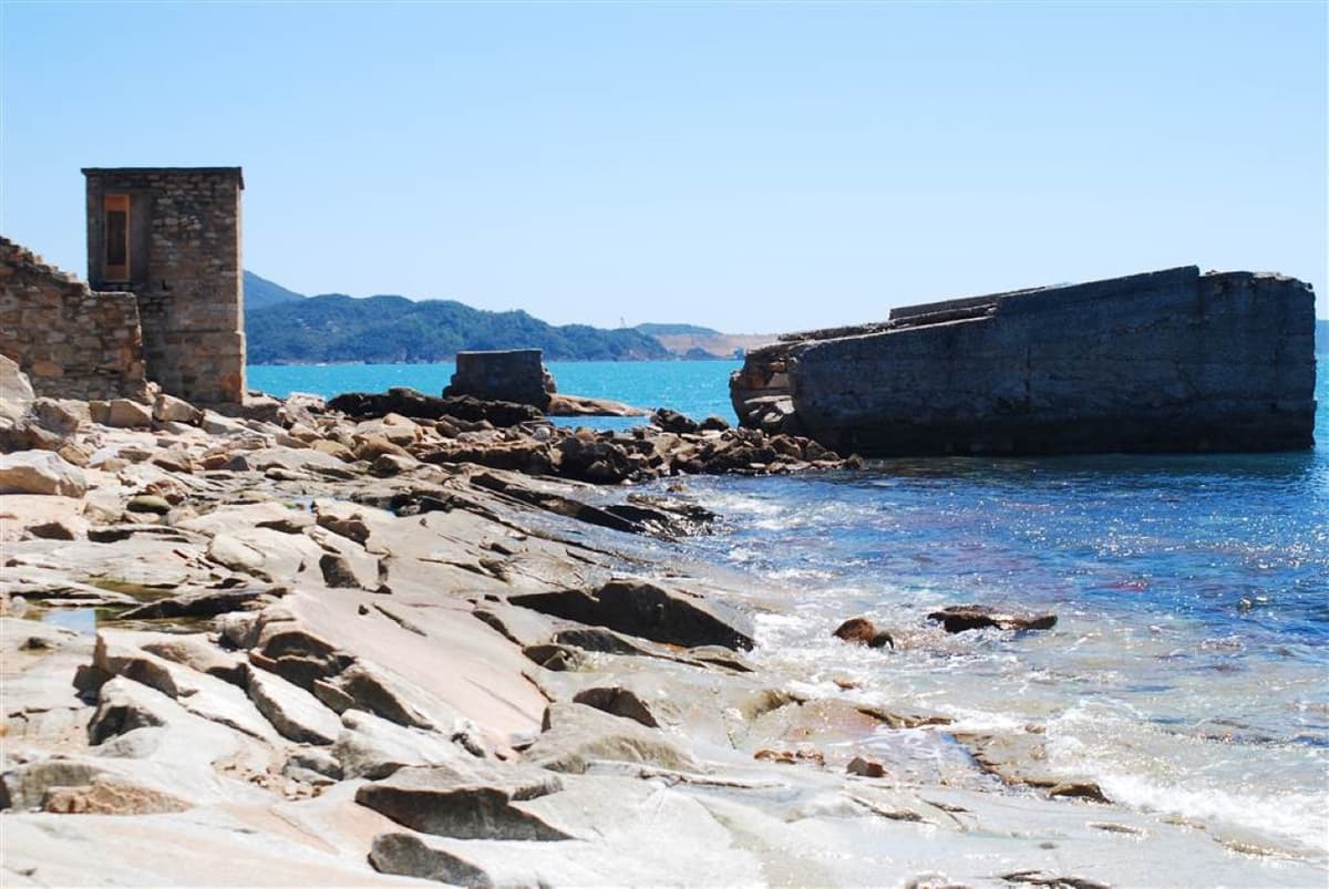 Aqualuna Dim Sum Cruise with Lei Yue Mun Self-Guided Tour