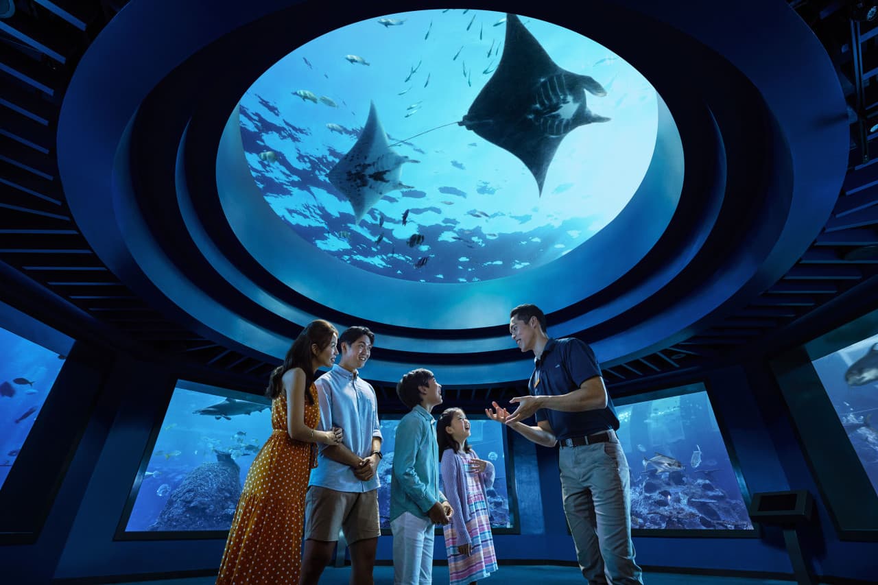 COMBO: Universal Studios Singapore + Singapore Oceanarium + Adventure Cove Waterpark Tickets