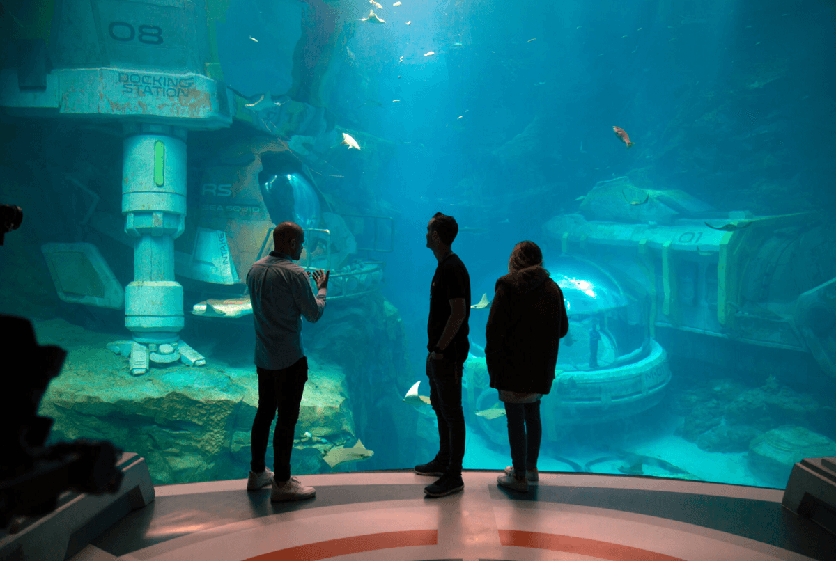 SeaWorld Abu Dhabi Ticket