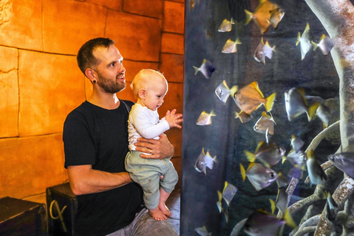 SEA LIFE Hannover Aquarium Ticket