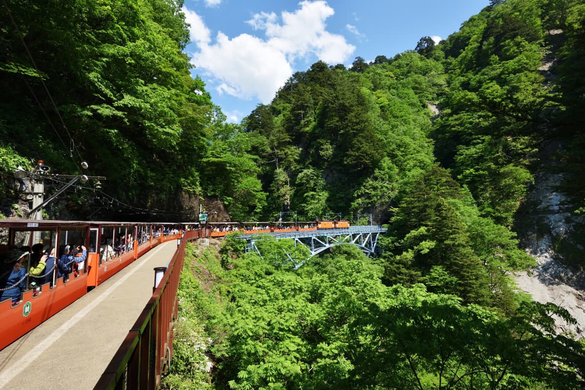 Kurobe Gorge Railway Ticket
