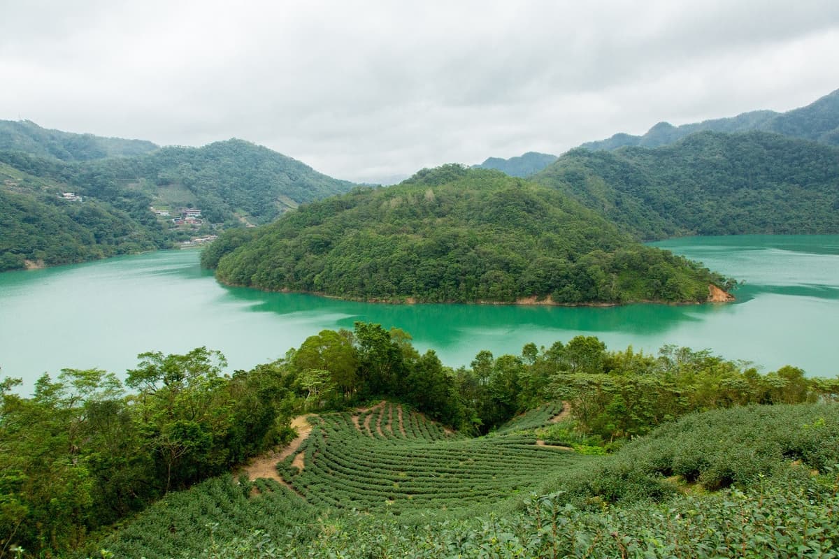 Thousand Island Lake and Pinglin Tea Plantation Tour