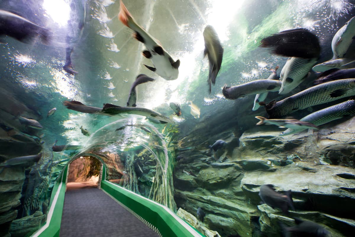 COMBO: Lotte World Adventure Seoul + Lotte World Aquarium + Seoul Sky Observatory Tickets