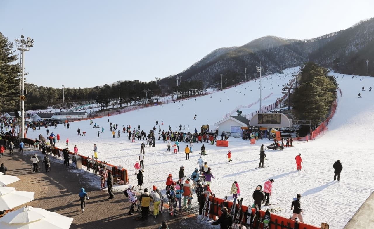 Jisan Forest Ski Resort Full-Day Tour from Seoul