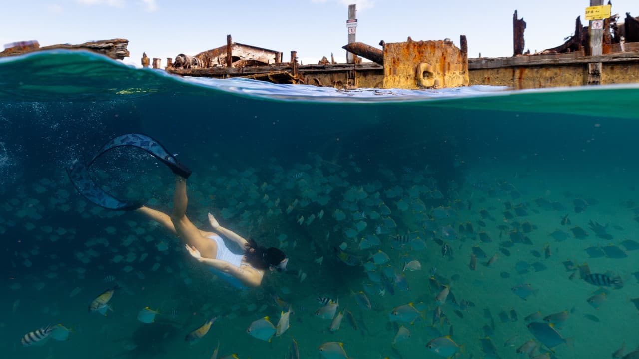 Tangalooma Wrecks & Dolphin Cruise Optional Round transfer from Brisbane City and Gold Coast