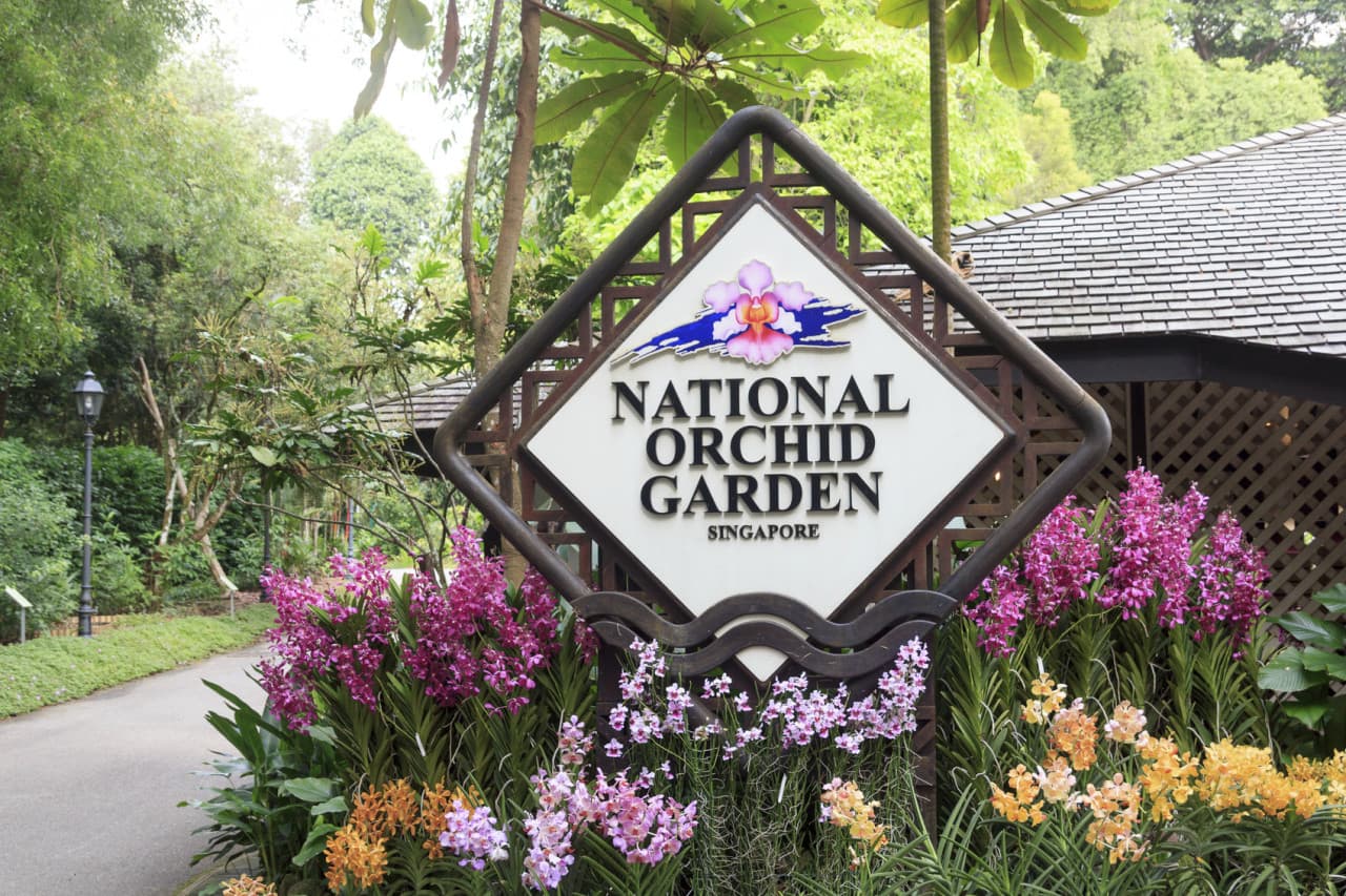 Merlion Park, National Orchid Garden, and Little India Tour