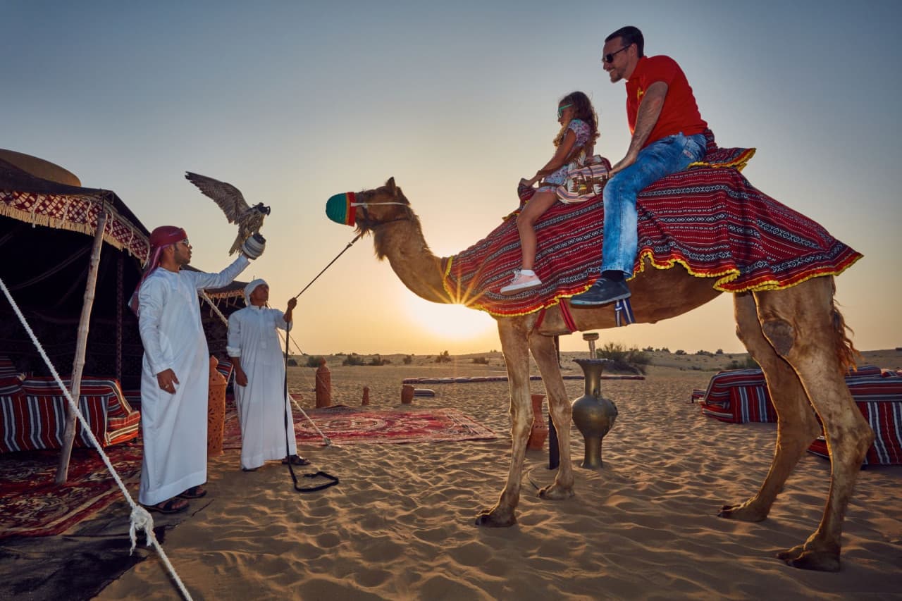 Go City Dubai Highlights Pass: Save up to 50% on Attractions