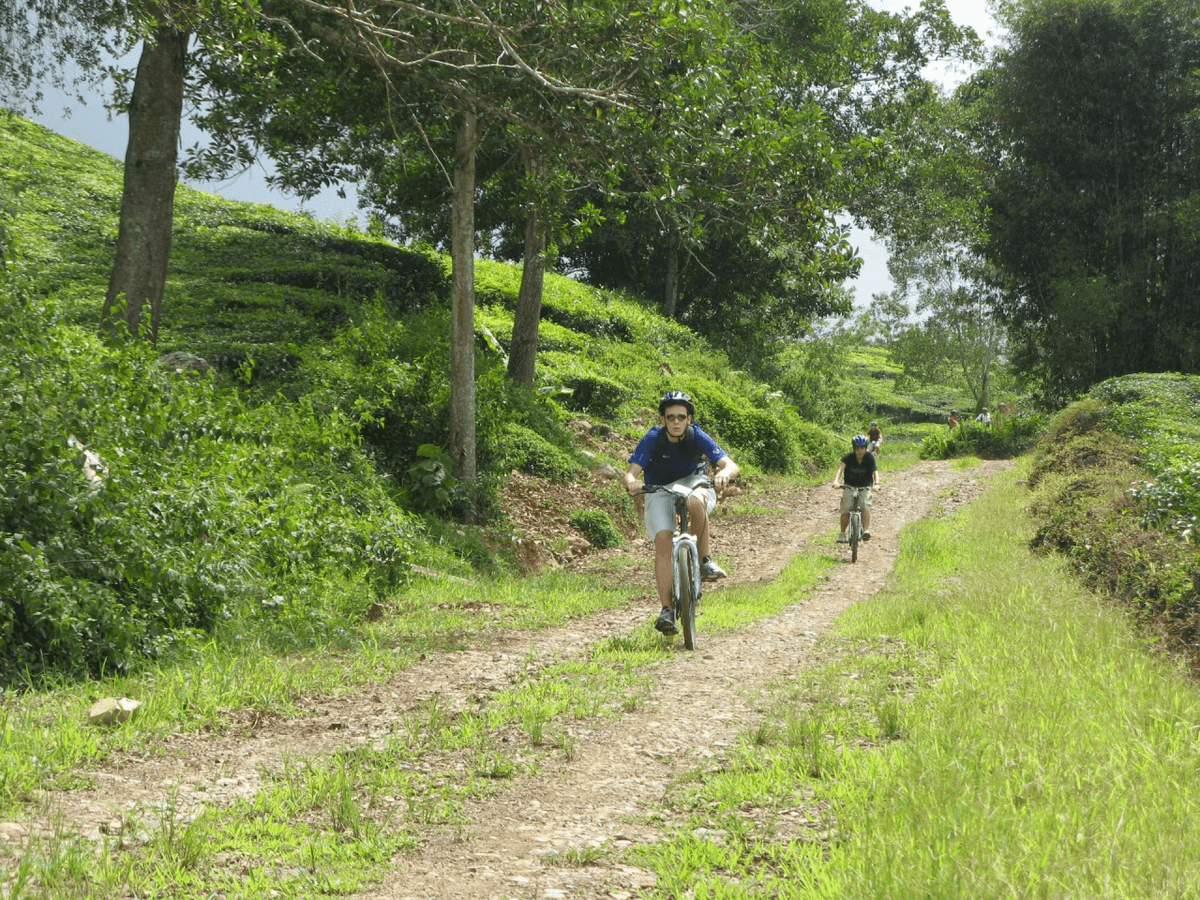 Pulau Ubin Cycling Tour