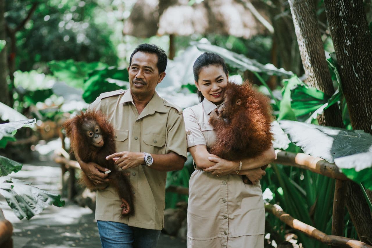Lombok Wildlife Park Orangutan Interaction
