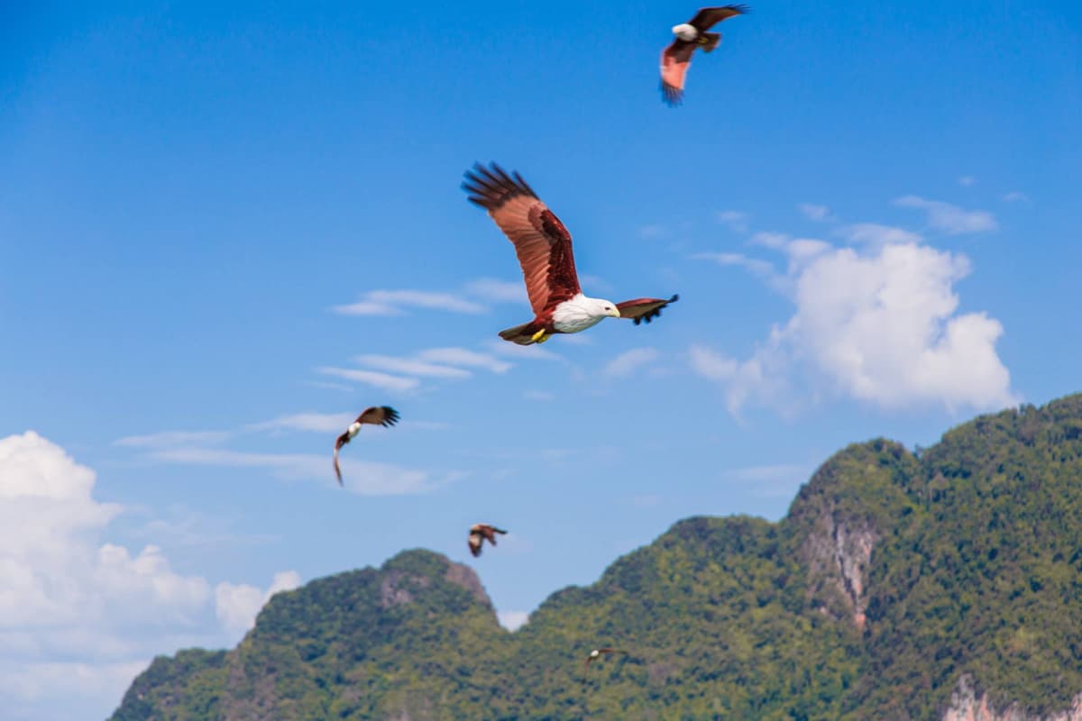 James Bond Island, Phang-Nga Bay, Hong Island, and Khai Island Tour from Phuket
