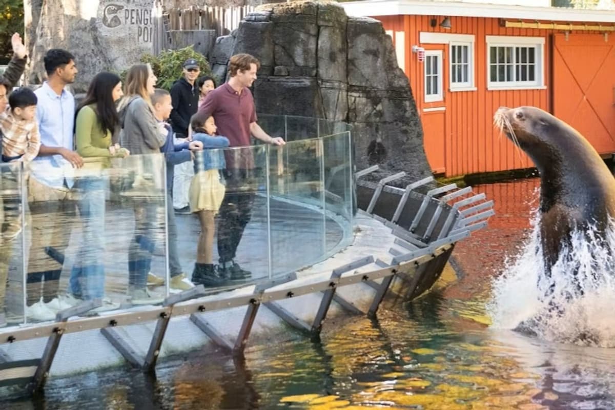 Vancouver Aquarium Ticket