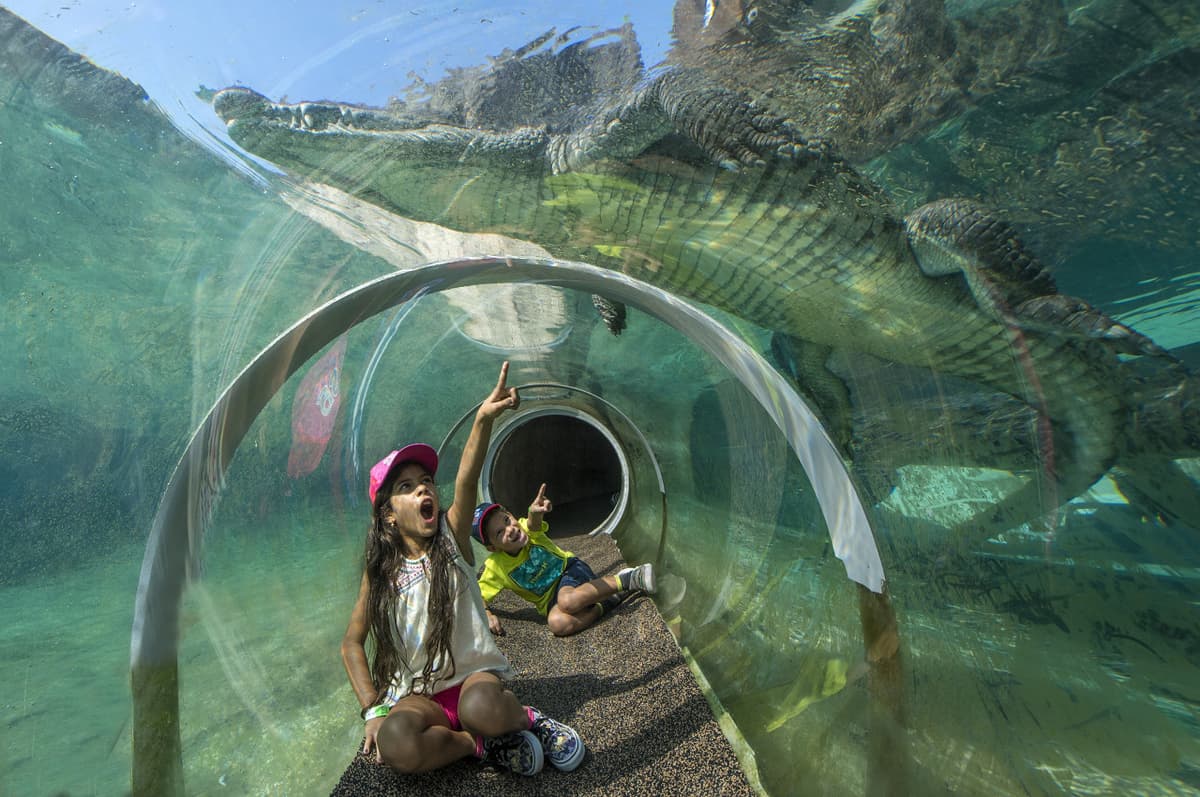 Go City Miami Explorer Pass: Save up to 50% on Attractions