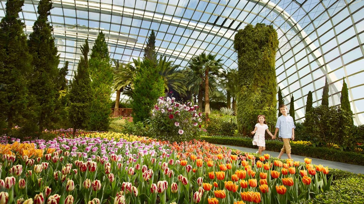 COMBO: Gardens by the Bay + ArtScience Museum Tickets