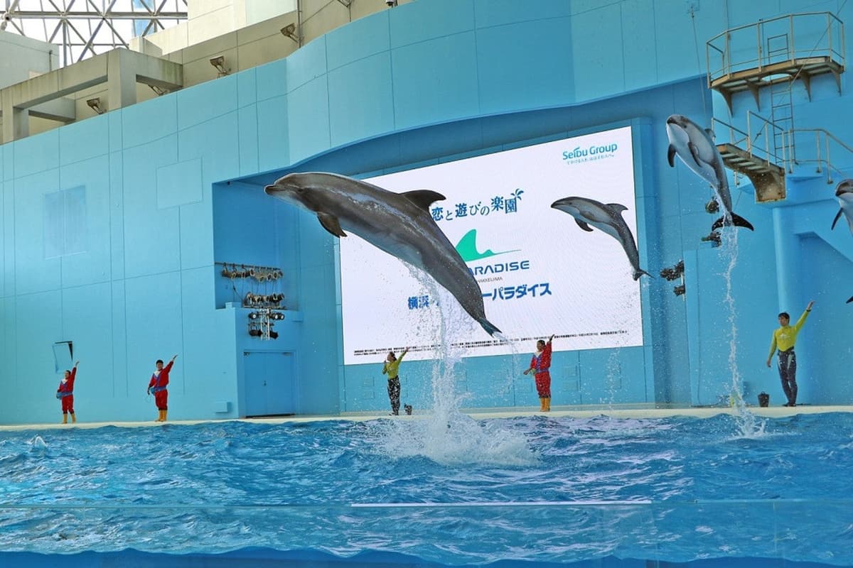 Yokohama Hakkeijima Sea Paradise Ticket