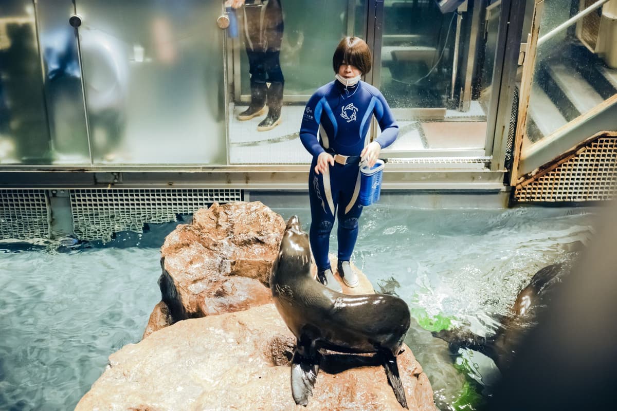 Sumida Aquarium Ticket