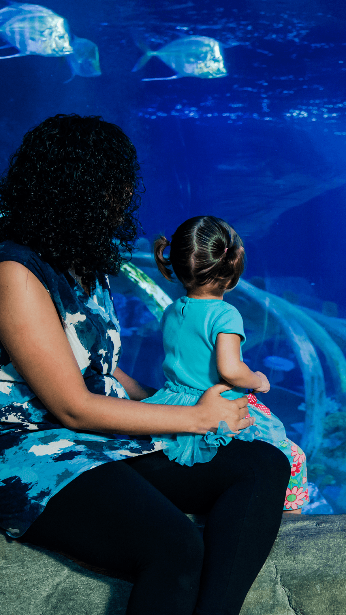 SEA LIFE Paris Aquarium Ticket
