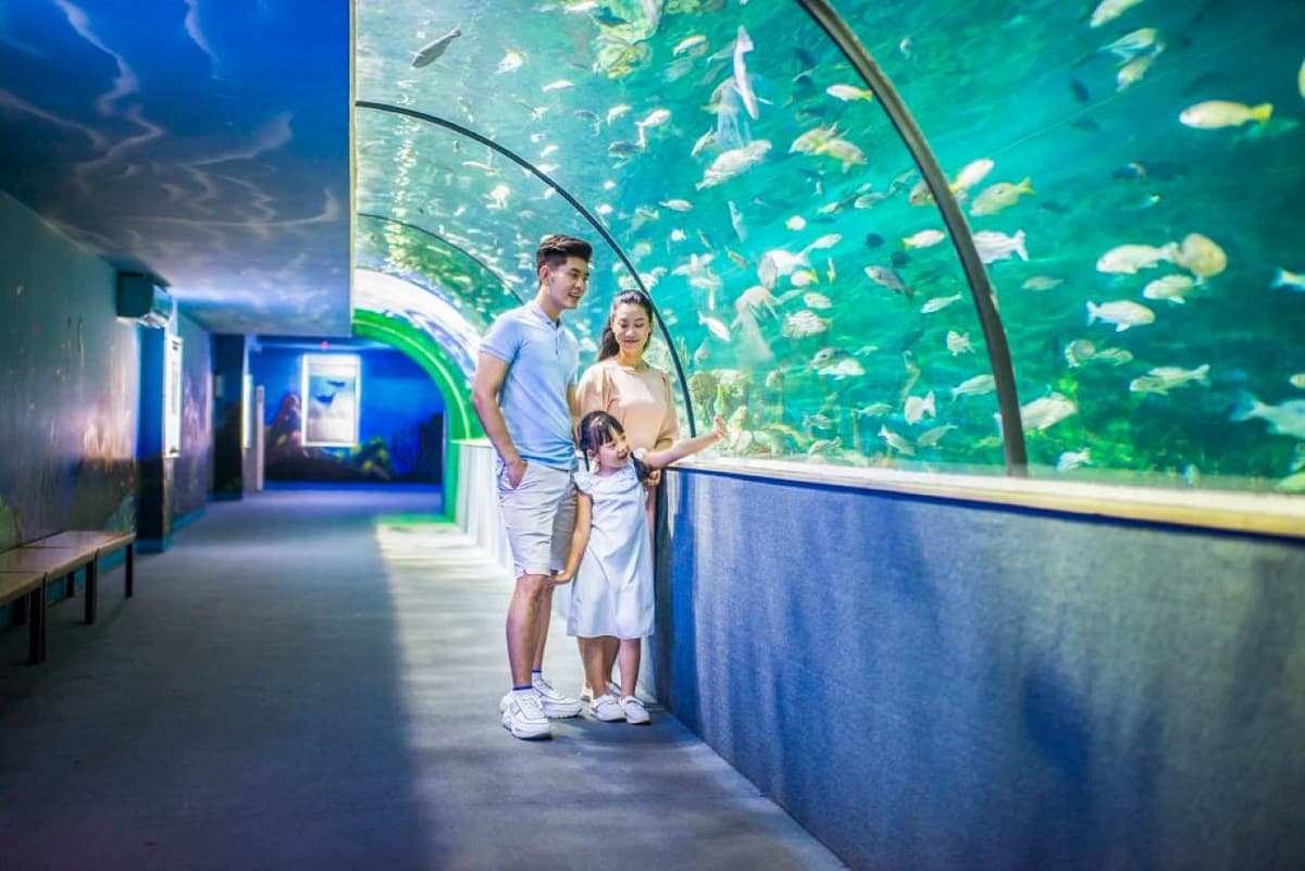 Vinpearl Aquarium Times City Hanoi Ticket