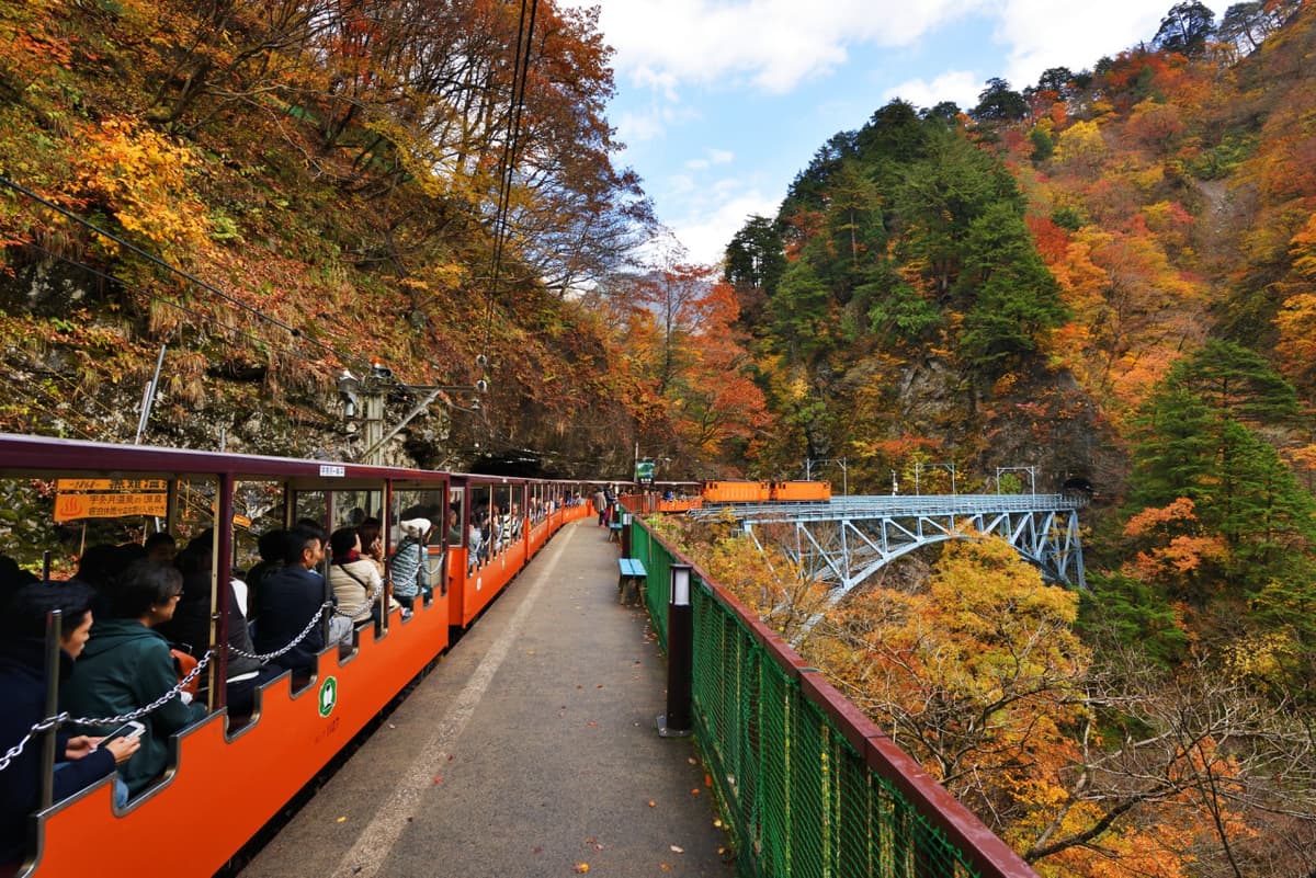 Kurobe Gorge Railway Ticket