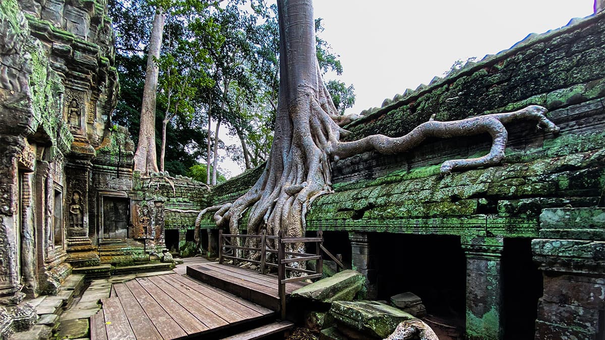 Angkor Wat, Ta Prohm, and Neak Pean Tour