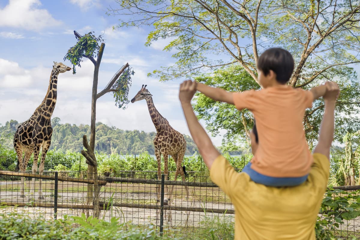 Singapore Zoo Ticket