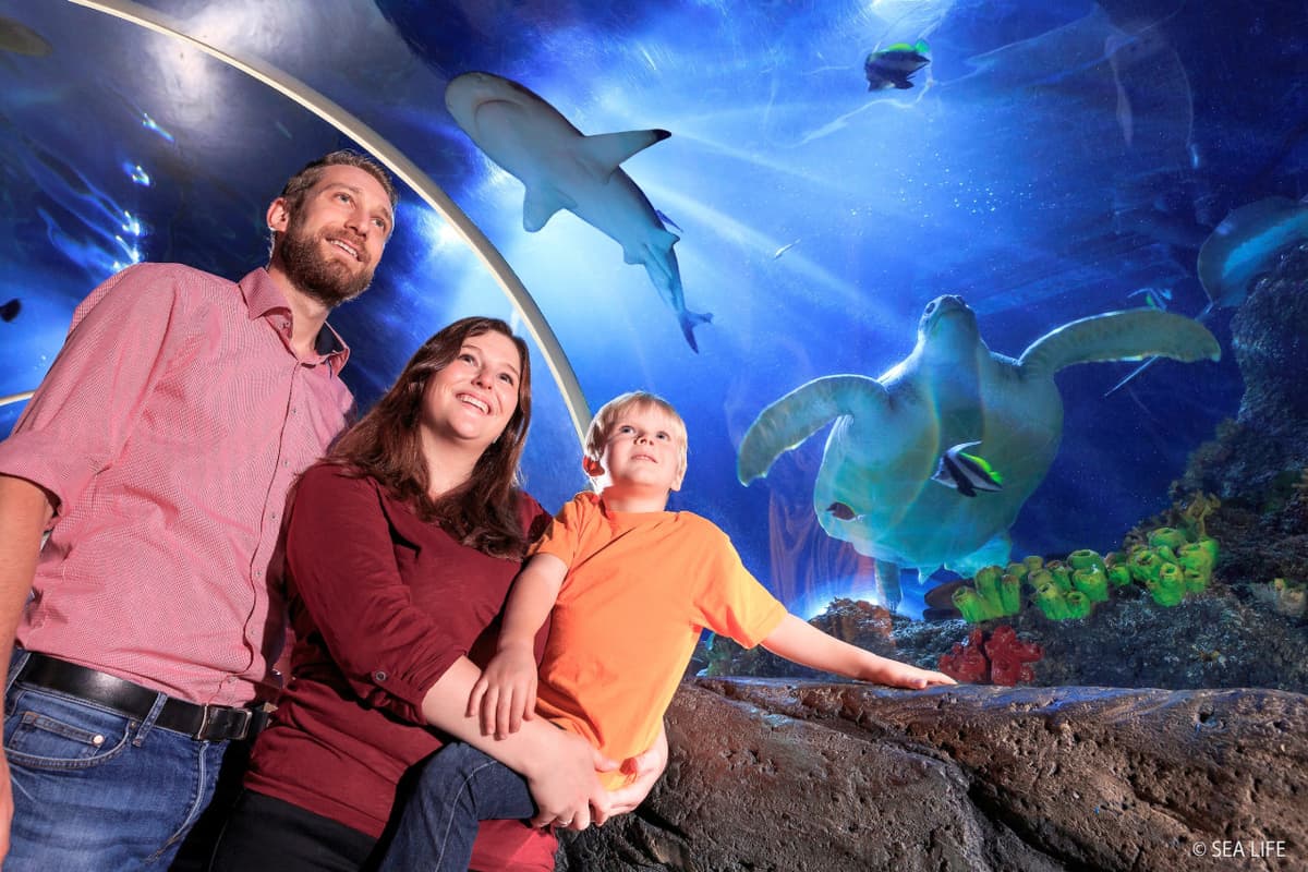 SEA LIFE Konstanz Aquarium Ticket