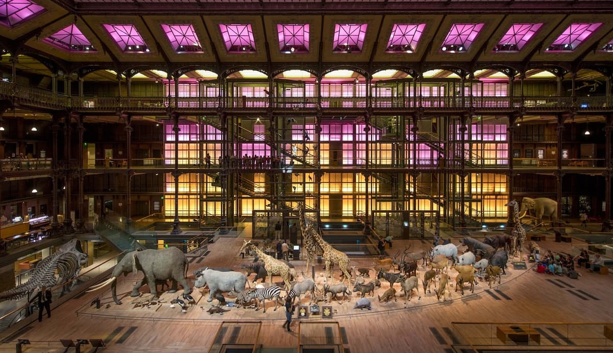 Grande Galerie de l'Évolution: Skip The Line