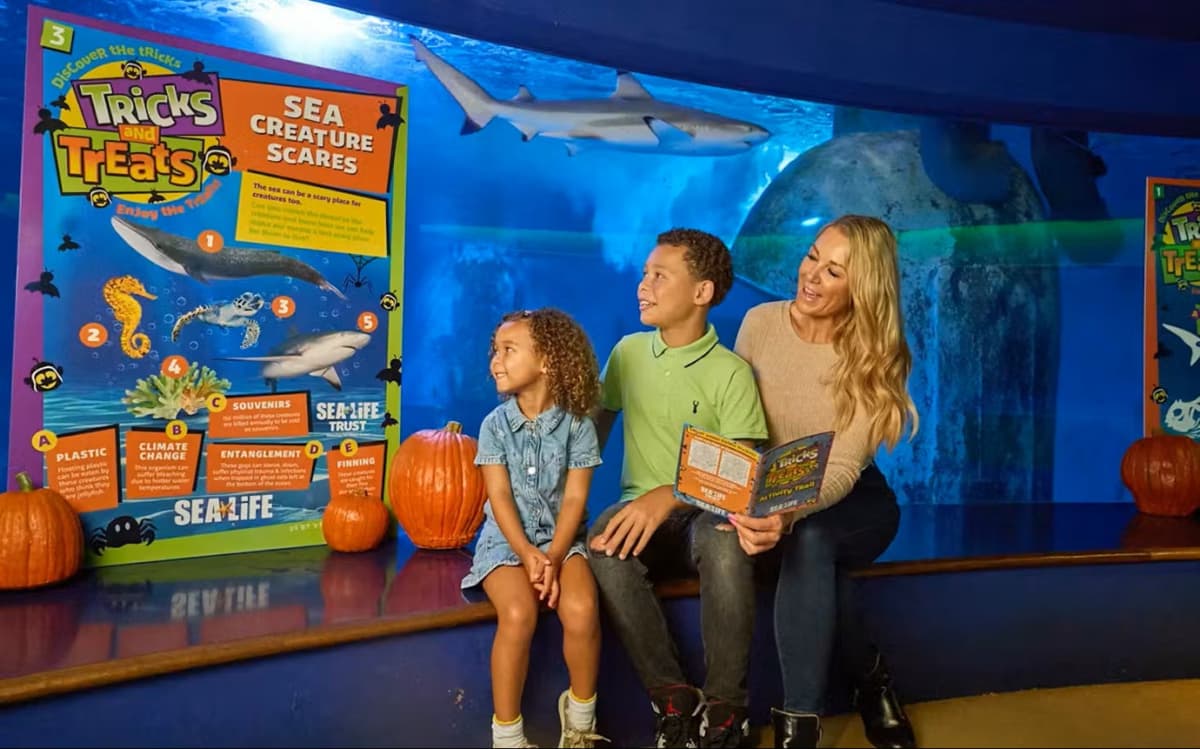 SEA LIFE New Jersey Aquarium Ticket