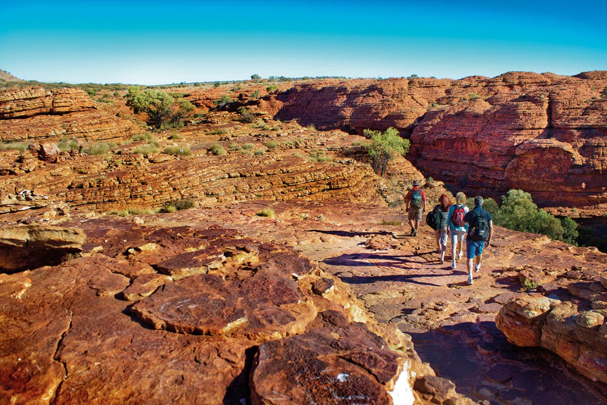 Palm Valley Outback Safari 4WD Tour