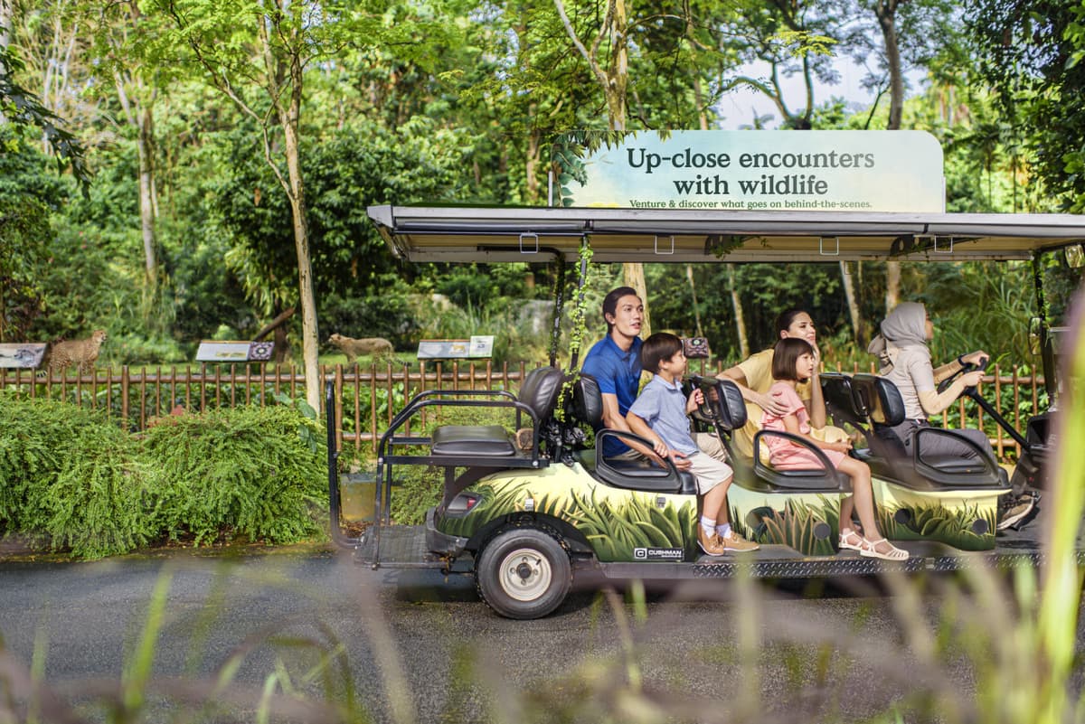Singapore Zoo Ticket