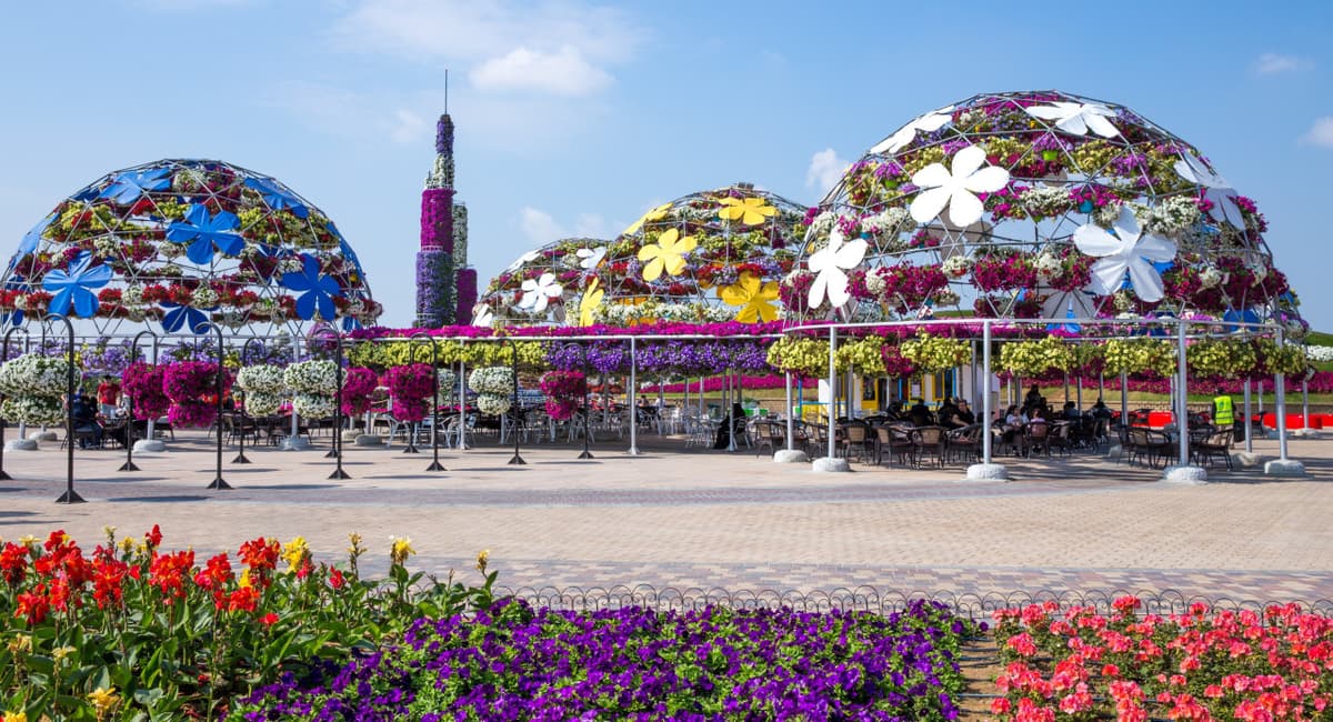 COMBO: Dubai Miracle Garden + Dubai Butterfly Garden Tickets