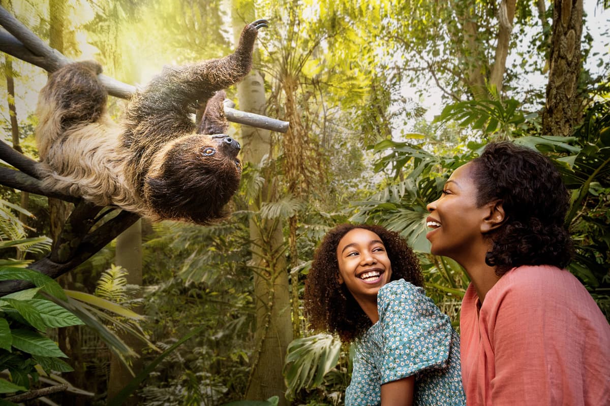 Go City San Diego Explorer Pass: Save up to 50% on Attractions