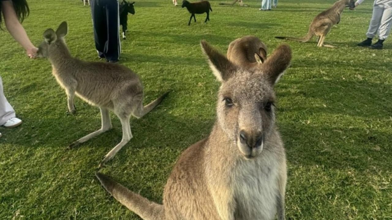 Port Stephens Tour with 4WD Ride and Sandboarding from Sydney
