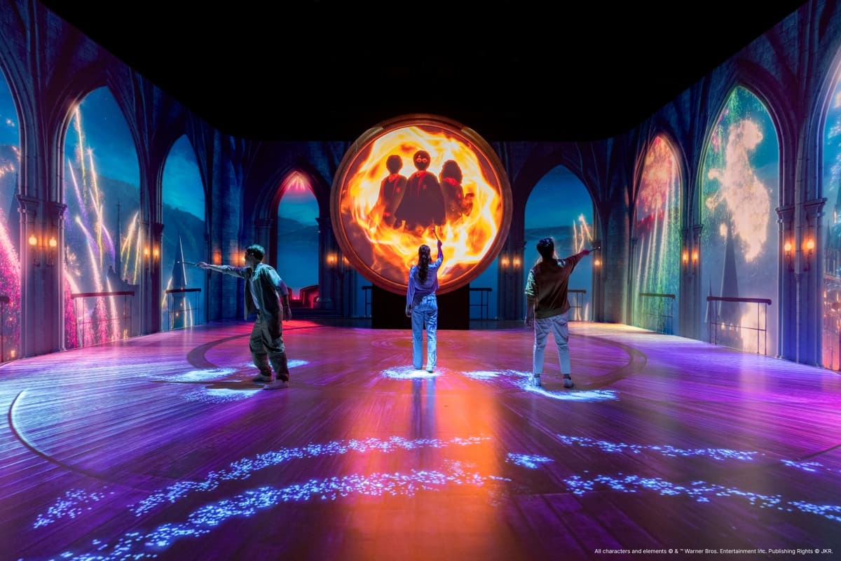Harry Potter: Visions of Magic