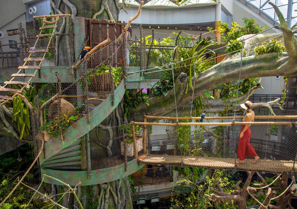 The Green Planet Dubai Ticket